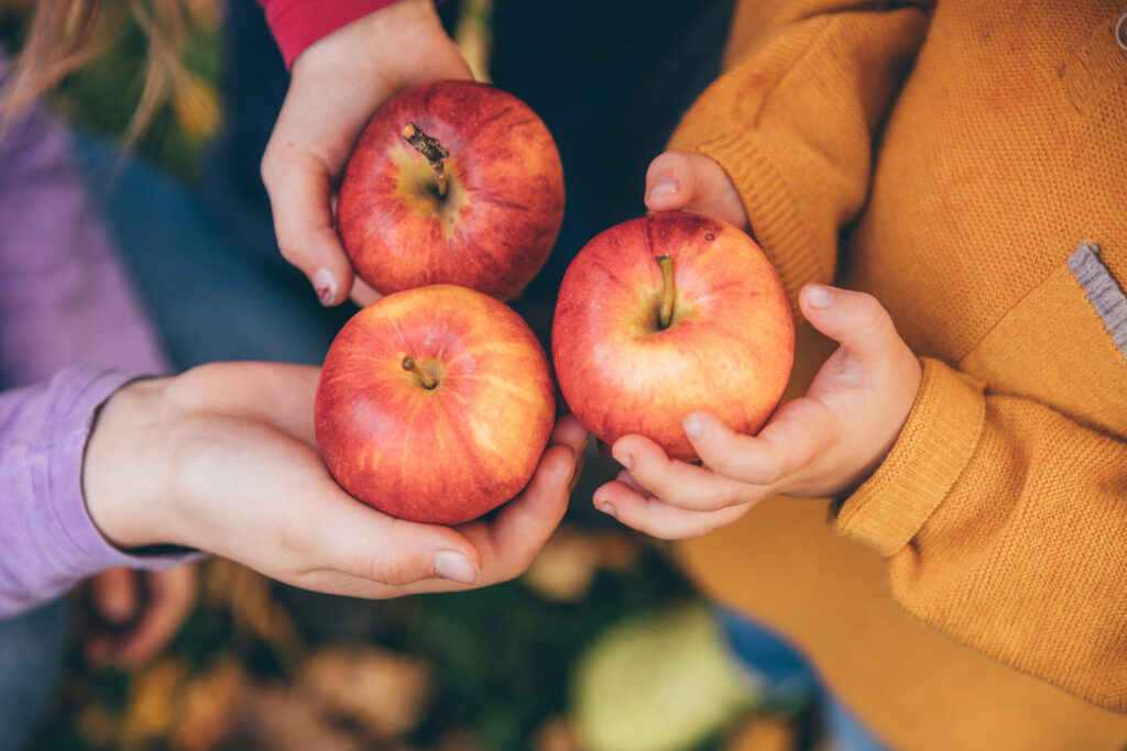 Alimentos de otoño que ayudan a cuidar tu sonrisa